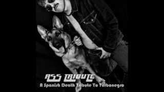 The Solenoids - No Beast So Fierce (Turbonegro Cover).wmv