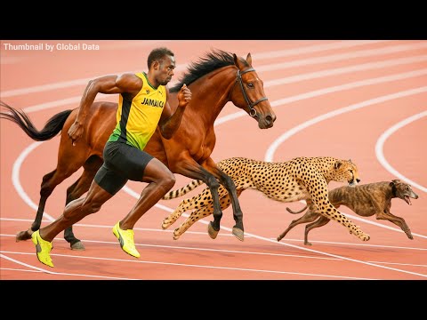 Usain Bolt vs Horse, Cheetah, Greyhound, Kangaroo | 3D Speed Comparison