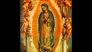 Reina Vestida De Sol Lyrics English Translation