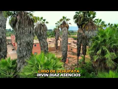 Irvin Díaz Asencios  tema  Añoro  tu Ausencia Autor D.R.