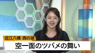 ９月４日 びわ湖放送ニュース