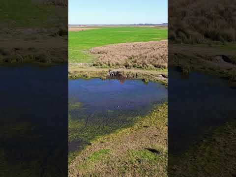 549 hectáreas Lavalleja, Mixto Agrícola Ganadero