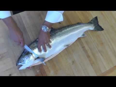 Butcher Fillet and Deboned Salmon - How to Butcher Whole Salmon - How to Deboned salmon
