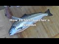 How To Fillet A Whole Salmon Techniques For Cleaning Butchering Cutting A Whole Salmon