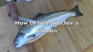 Butcher Fillet and Deboned Salmon - How to Butcher Whole Salmon - How to Deboned salmon