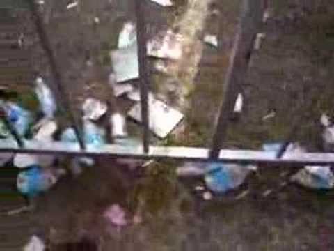 Maxximal Live - Wonderland 01/09 Londrina-PR