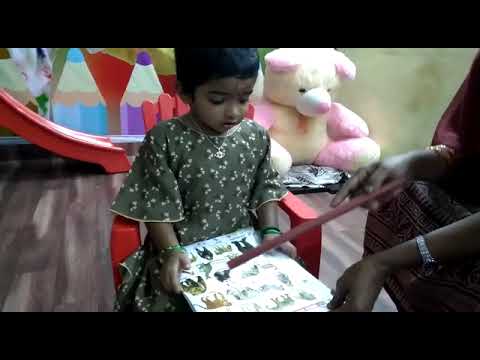 Ch.Ashritha | Animals Identification | Rise Play School | Jagannaickpur, Kakinada.