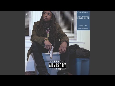 Never Love (feat. Luchini)