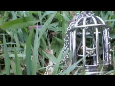 Sestrice mala - Dobrovoljno Pevacko Drustvo