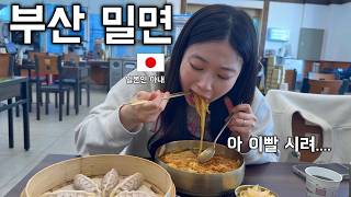 부산가서 밀면 먹고 충격 받은 일본인 아내 (국수를 왜 얼려서 먹어...?)