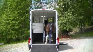 ifor williams horse trailer loading