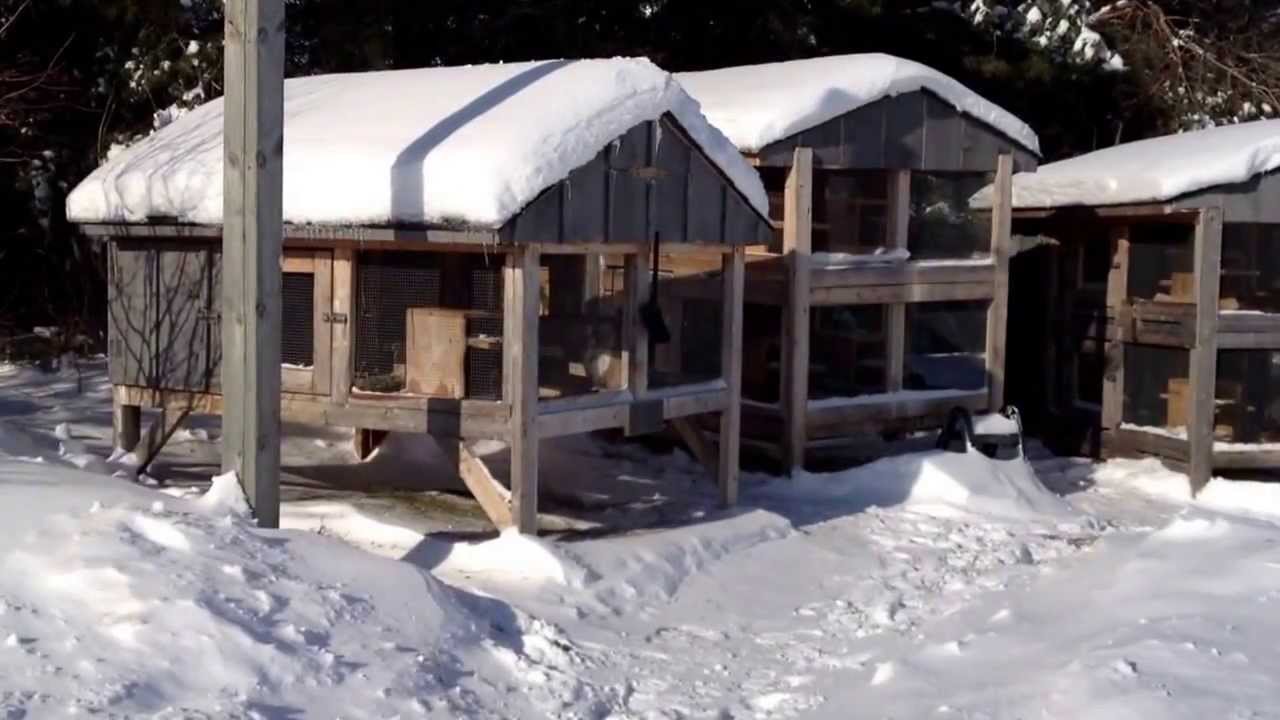 Canadian Rabbit Hutch Winter Update