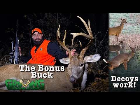 download lagu mp3 mp4 Mithra Forum, download lagu Mithra Forum gratis, unduh video klip Mithra Forum