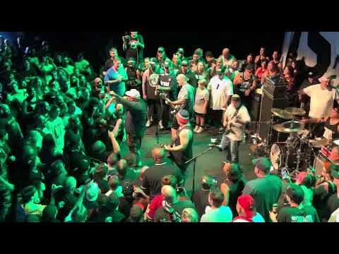 Wisdom In Chains - Chasing The Dragon (live) | TIHC23