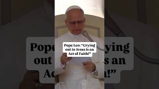 Pope Leo XIV&#39;s prayer: &quot;Jesus, have mercy on me!&quot; | General Audience June 11, 2025