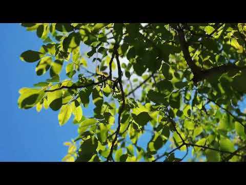 Ascochinga 🇦🇷 Córdoba 