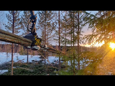 Viimoset ennen kelirikkoa - Ponsse Elk -
