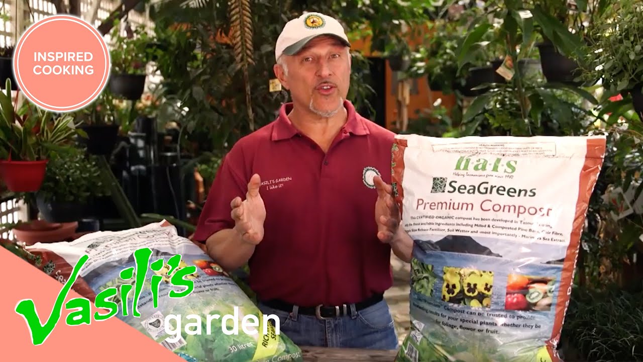 Vasili's Recommended Compost | Full Episode | Vasili's Garden