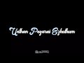 New York Nagaram Song Lyrics Black Screen WhatsApp Status