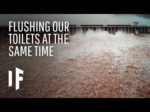 みんなが同時に流すとどうなるの？ (What Happens If Everyone Flushed at the Same Time?)