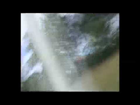 when pigs fly - short film