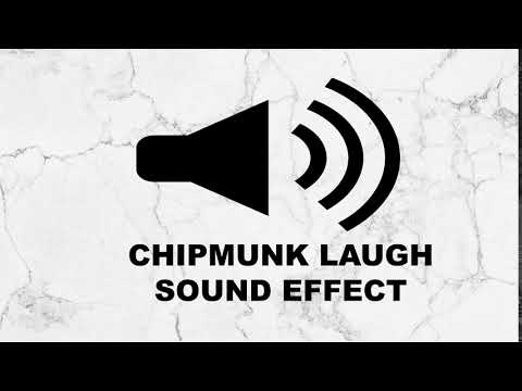 CHIPMUNK LAUGH SOUND EFFECT