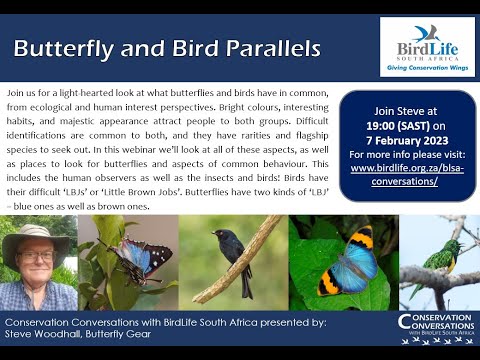 Conservation Conversations: Butterfly and Bird Parallels - Steve Woodhall (7Feb23)