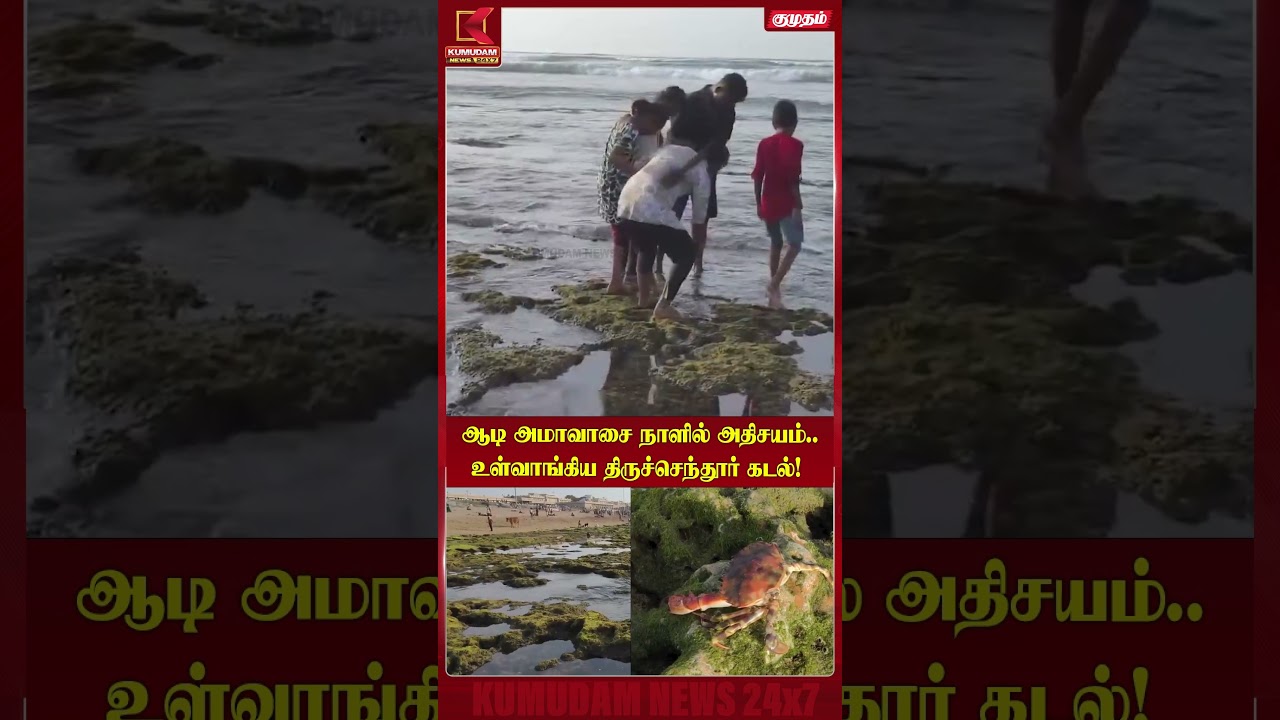 ஆடி அமாவாசை நாளில் அதிசயம்..உள்வாங்கிய திருச்செந்தூர் கடல்! Thiruchendur | Murugan Temple | Kumudam