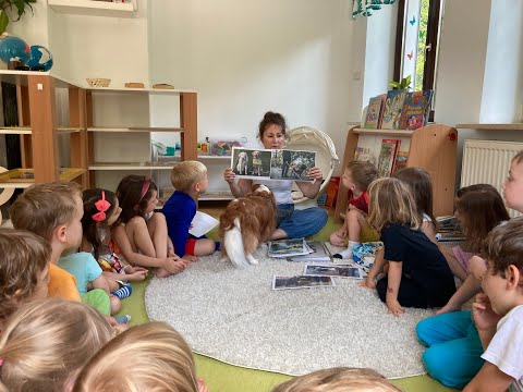 Zobacz filmy, ABC Montessori Education Karolina Skowrońska, Konstancin-Jeziorna