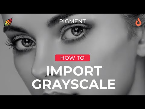 Pigment How To: Importing Grayscale Images | Grayscale Coloring | Digital Coloring Process for iPad