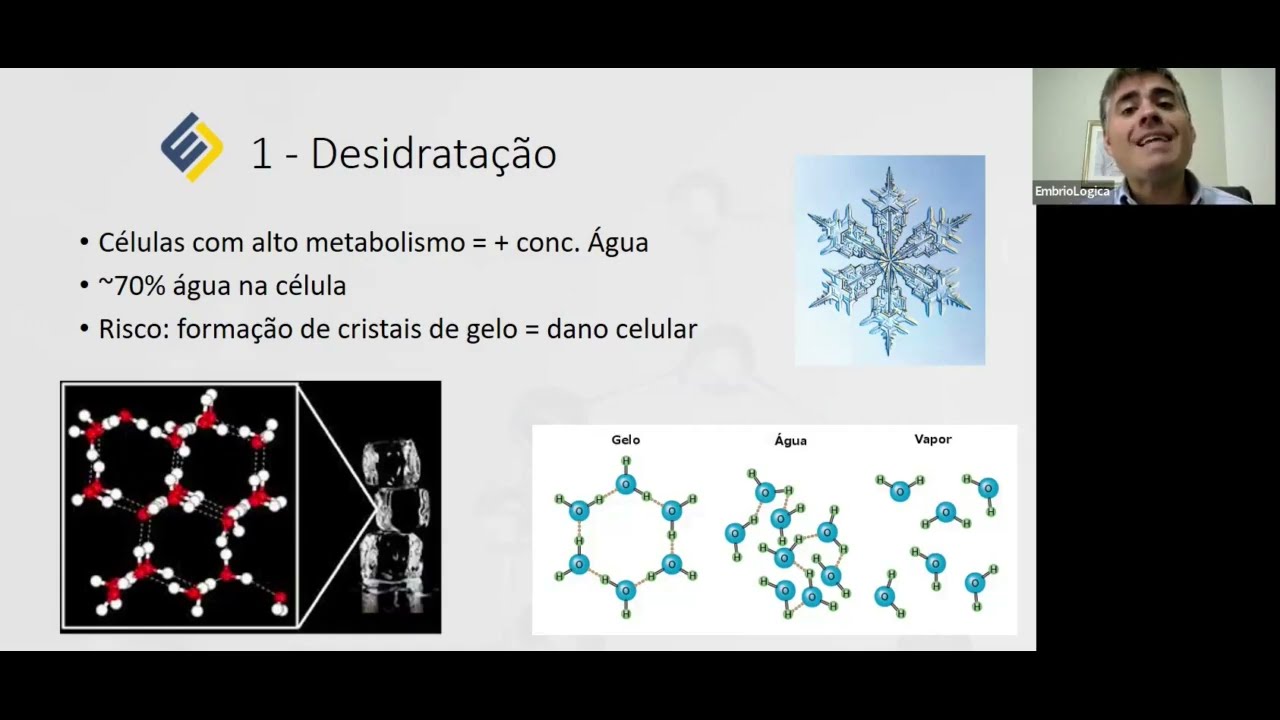 Excelência em Vitrificação - do básico ao avançado