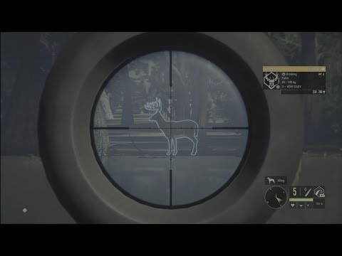 The Hunter COTW Mississippi Acres Hunting 270+ Diamond Whitetail With Zarza .308