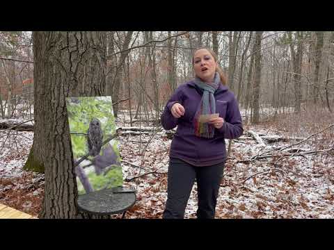 Mondays with Martha #30 - Barred Owl Nest Boxes