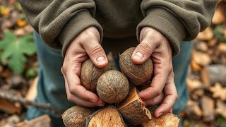 Breaks walnut branches with my hands sometimes I saw.This is how I prepare firewood