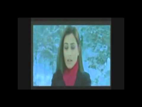 Assyrian gewarges nicola