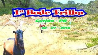 preview picture of video '1º Bode Trilha - Gurjao-PB - 20 07 2014'