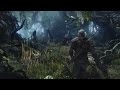 A SHITLOAD of The Witcher 3: Wild Hunt Gameplay ...