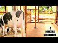 How To Fit A 4 Milkers Structure On A Small Piece Of Land 2026