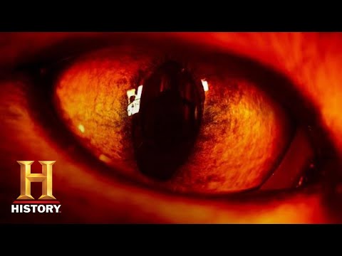 Ancient Aliens: ALIEN REPTILES MANIPULATE HUMAN DNA (Season 14) | History