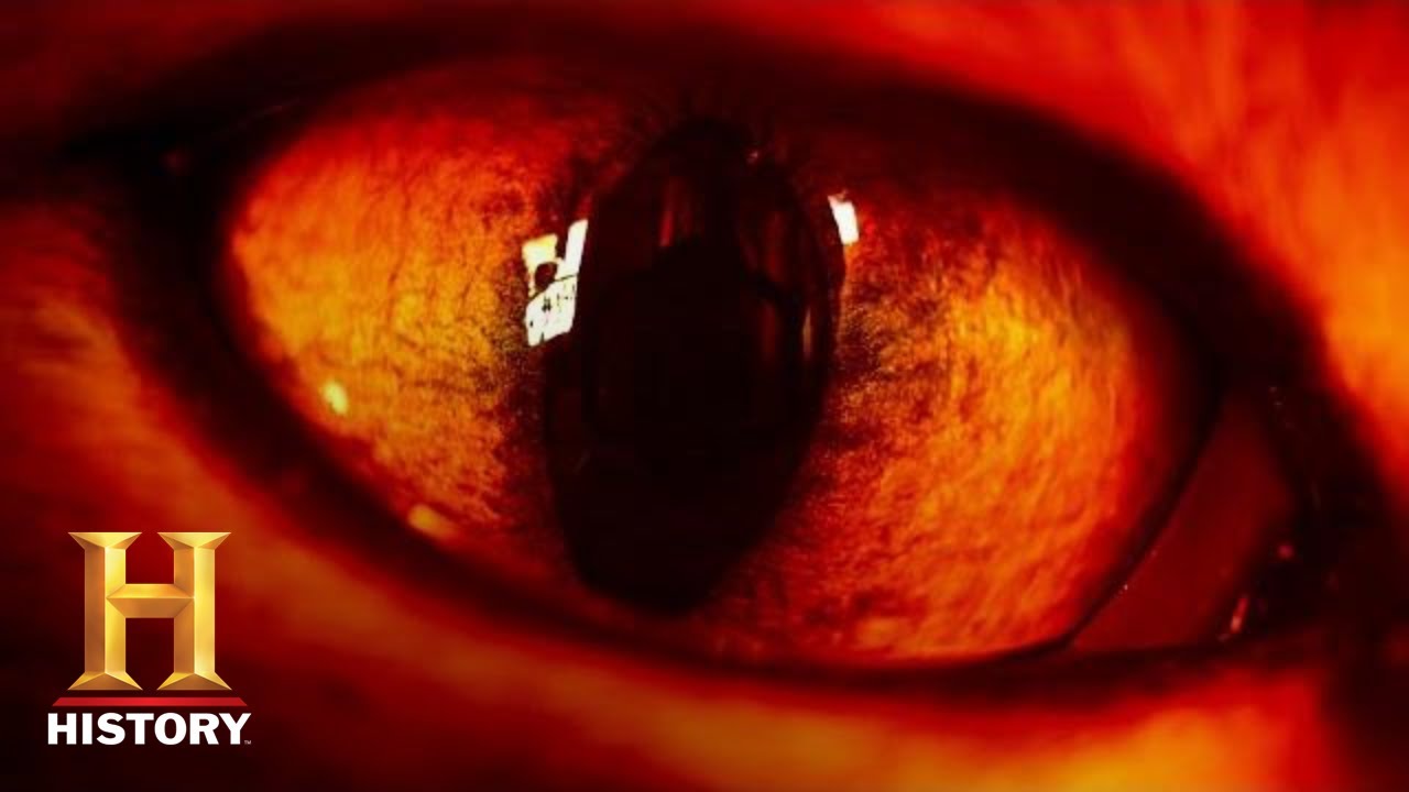 Ancient Aliens: Do Alien Reptiles Manipulate Human DNA?