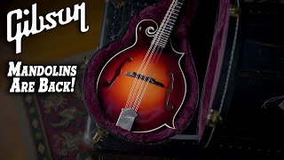 Video thumbnail for NEW 2023 Gibson F-5G Mandolin Review: Unbelievable Price Drop - Best Value Mandolin? by The Acoustic Shoppe