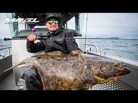 Maxel Elemento 511-8