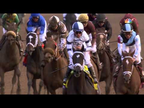 2015 Breeders' Cup Longines Distaff