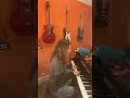 True by Spandau Ballet #scottchasolen #pianist #pianocover #coversong #piano #80smusic