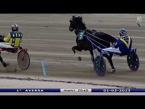 Aversa trotto 1 Marzo 2023 - 1° Corsa