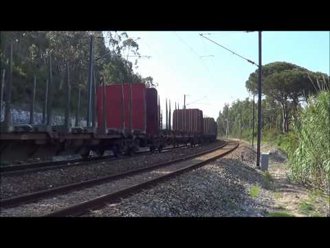 Comboio de Madeira nº 48898 - P.K. 205.8, Linha do Oeste