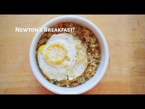 download lagu mp3 mp4 Ground Turkey And Sweet Potato For Dogs, download lagu Ground Turkey And Sweet Potato For Dogs gratis, unduh video klip Ground Turkey And Sweet Potato For Dogs