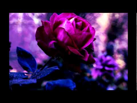 DJURDJICA BARLOVIĆ-Požaliti neću