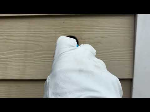 Hole in the Home Filled with Yellow Jackets...