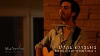 Wolverton Home Concert | David Longoria